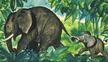 Jumbó, egy kis elefánt kalandjai - Diafilm