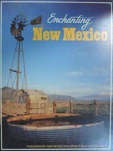 Susan Hazen-Hammond - Enchanting New Mexico [antikvár]