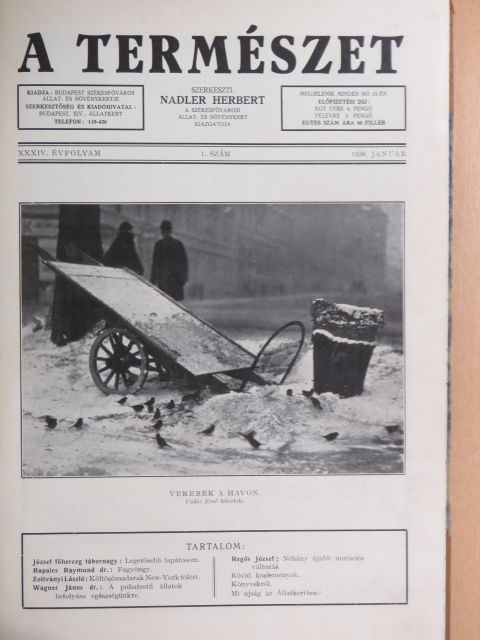Blaskovich János - A Természet 1938. január-december [antikvár]