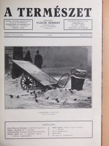 Blaskovich János - A Természet 1938. január-december [antikvár]