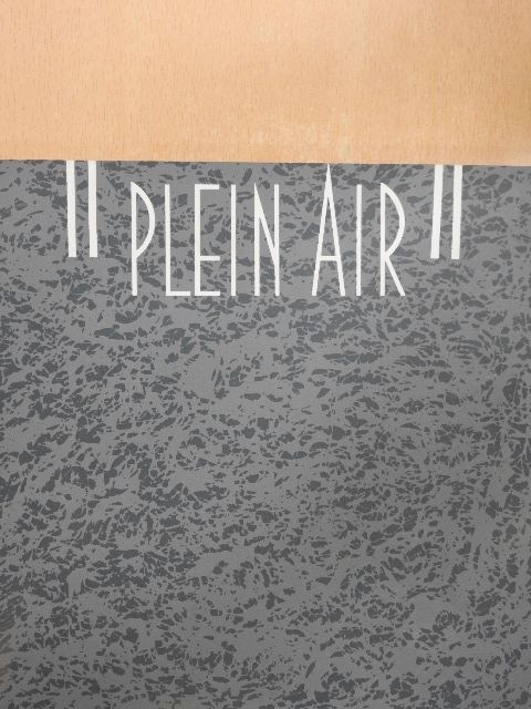 Plein Air [antikvár]