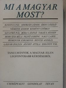 Adorján János - Mi a magyar most? [antikvár]