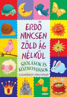Imre Zsuzsánna, Péter Kinga - Erdő nincsen zöld ág nélkül [antikvár]