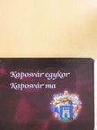 Kaposvár egykor/Kaposvár ma [antikvár]