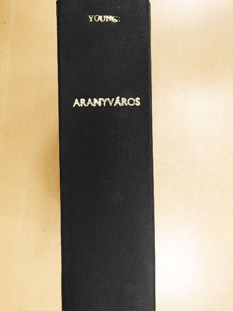Francis Brett-Young - Aranyváros [antikvár]