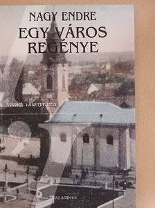 Nagy Endre - Egy város regénye [antikvár]