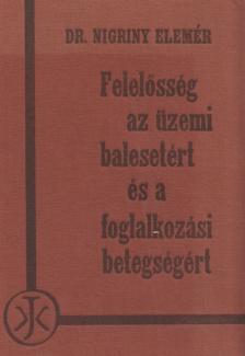 Dr. Nigriny Elemér - Felelősség az üzemi balesetért és a foglalkozási betegségért [antikvár]