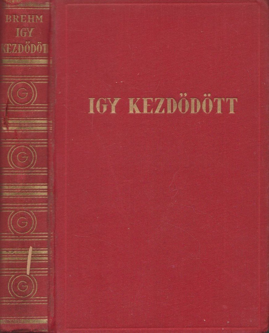 Brehm, Bruno - Igy kezdődött [antikvár]