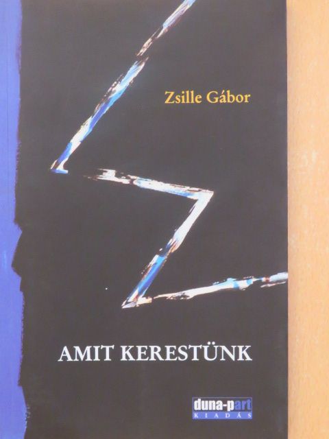 Zsille Gábor - Amit kerestünk [antikvár]