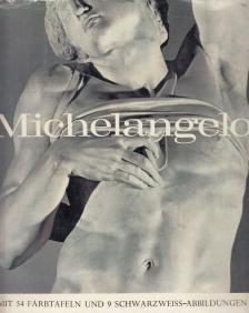 Nicholas Wadley - Michelangelo [antikvár]