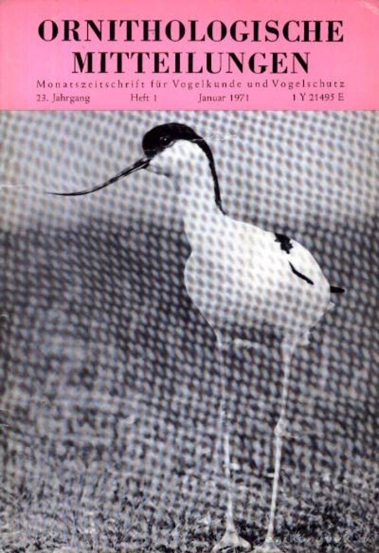 több szerző - Ornithologische Mitteilungen 1971, 23. Jahrgang, 1. Heft (Ornitológiai Közlöny 1971, 23. évf., 1. füzet) [antikvár]