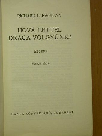 Richard Llewellyn - Hová lettél drága völgyünk? [antikvár]