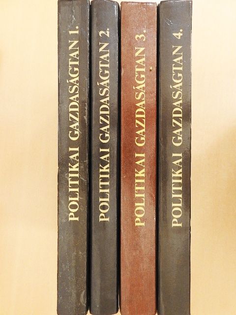 Daubner Katalin - Politikai gazdaságtan 1-4. [antikvár]