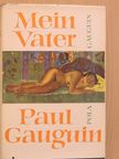 Pola Gauguin - Mein Vater Paul Gauguin [antikvár]
