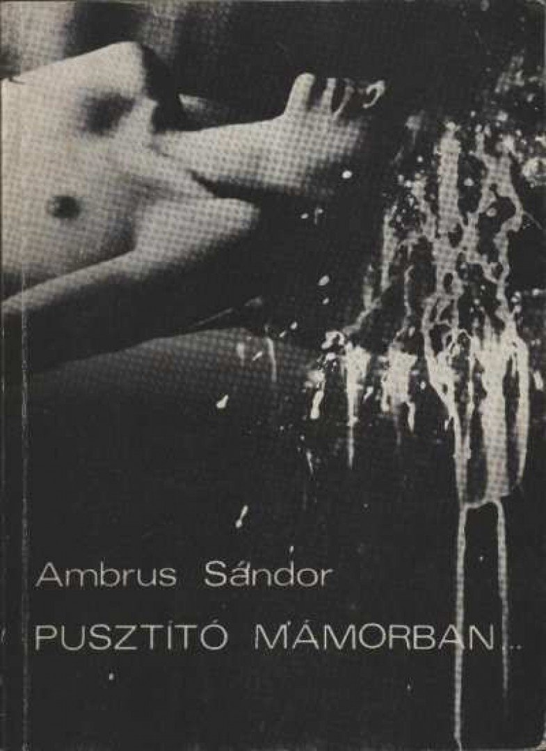 AMBRUS SÁNDOR - Pusztító mámorban [antikvár]