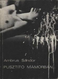 AMBRUS SÁNDOR - Pusztító mámorban [antikvár]