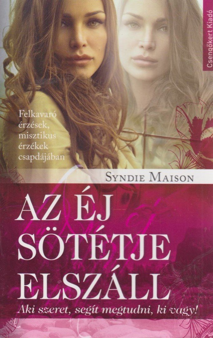 MAISON, SYNDIE - Az éj sötétje elszáll [antikvár]
