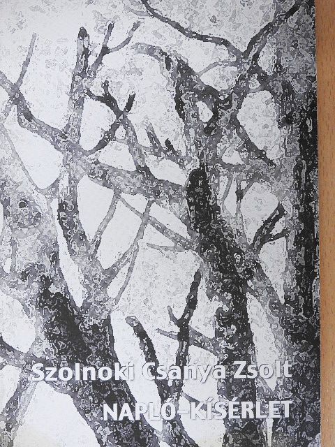 Szolnoki Csanya Zsolt - Napló-kísérlet [antikvár]