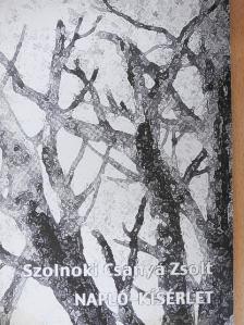 Szolnoki Csanya Zsolt - Napló-kísérlet [antikvár]