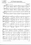 NÓGRÁDI PÉTER - AZ ÚRISTENT MAGASZTALOM (KÁJONI JÁNOS :CANTIONALE CATHOLICUMBÓL) NŐIKAR+ORG