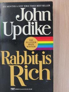 John Updike - Rabbit is Rich [antikvár]