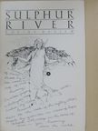 Diane Glancy - Sulphur River Spring 1982 [antikvár]
