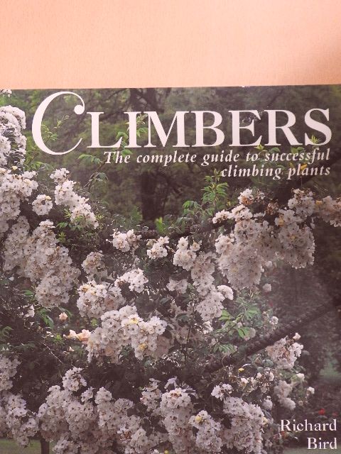 Richard Bird - Climbers [antikvár]