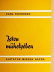 Dr. Carl Eichhorn - Isten műhelyében [antikvár]