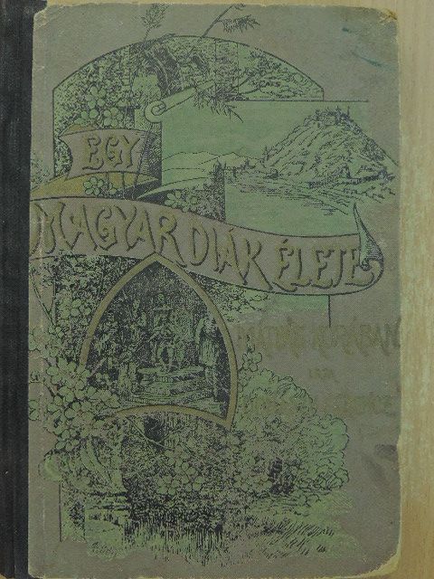 Donászy Ferencz - Egy magyar diák élete Mátyás király korában [antikvár]