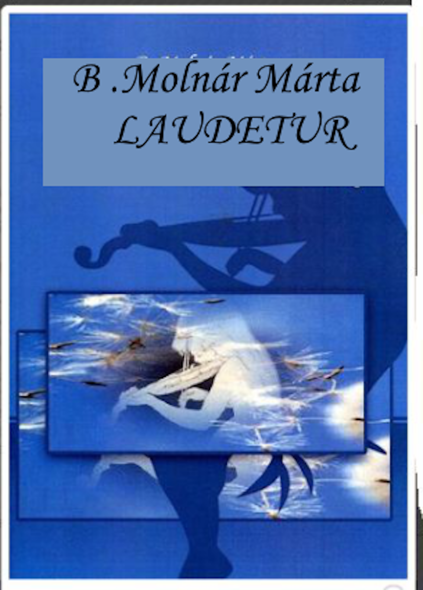 B. Molnár Márta - Laudetur [eKönyv: epub, mobi]