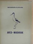Báldy Bálint - Aves - Madarak [antikvár]