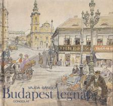Vajda Sándor - Budapest tegnap [antikvár]