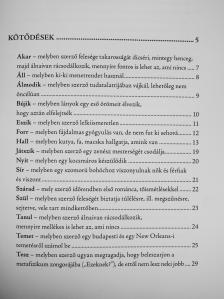 Szolcsányi Ákos - Semmi meglepő vagy fontos  [antikvár]