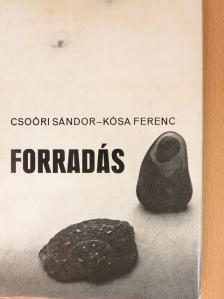 Csoóri Sándor - Forradás [antikvár]