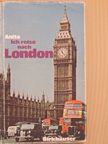 Anita Daniel - Ich reise nach London [antikvár]