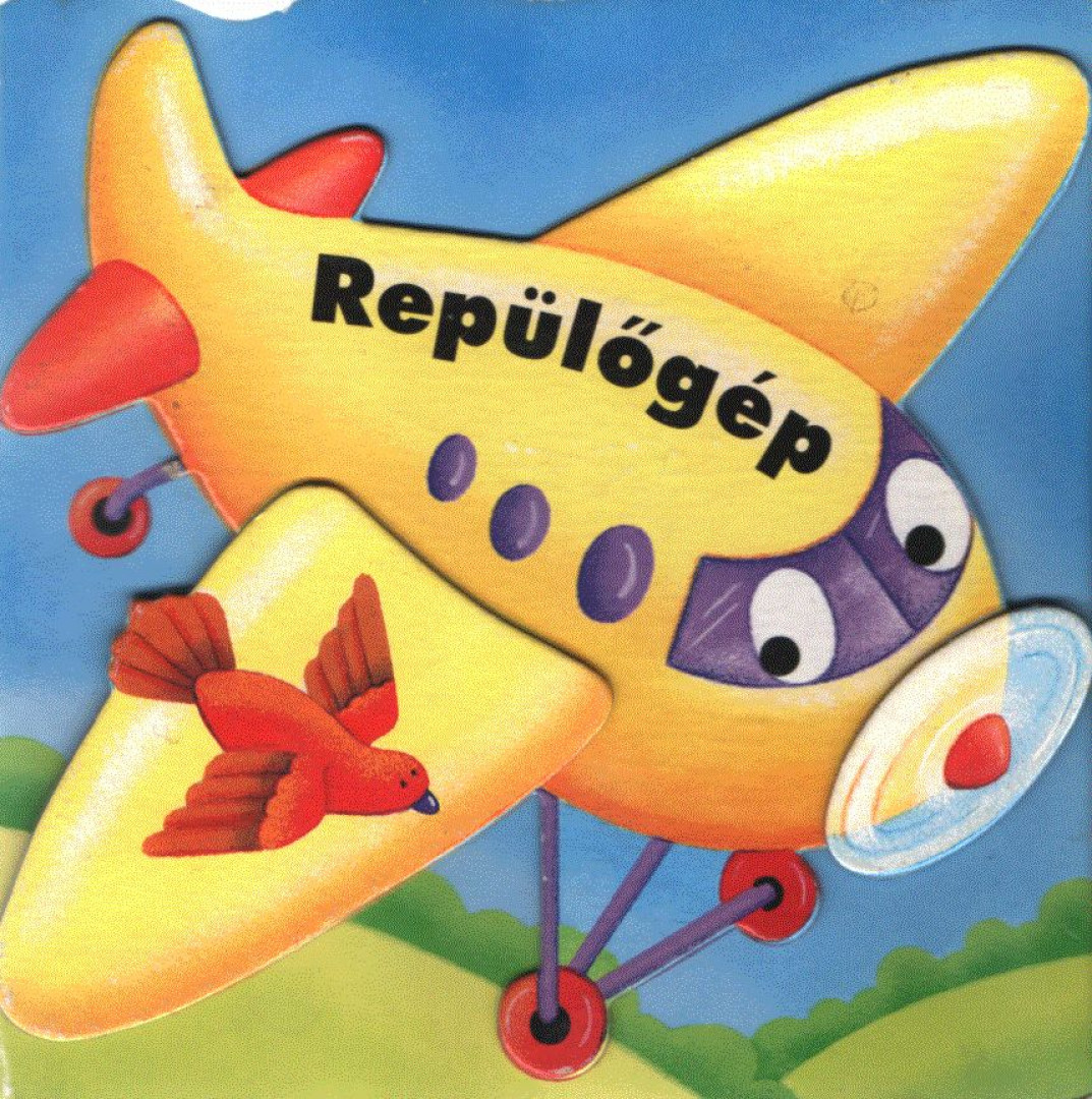 Janet Allison Brown - Repülőgép [antikvár]