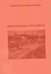 Pethő Zsoltné Németh Erika - Szentendre utcanevei [antikvár]