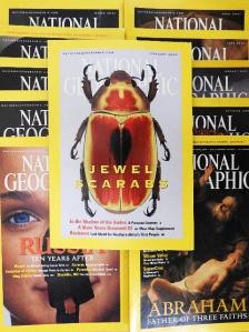 Michael E. Long - National Geographic 2001. (nem teljes évfolyam) [antikvár]