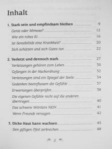Annemarie Pfeifer - Bring dein Leben zum Klingen [antikvár]