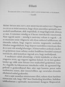 Matthieu Ricard - A meditáció művészete [antikvár]