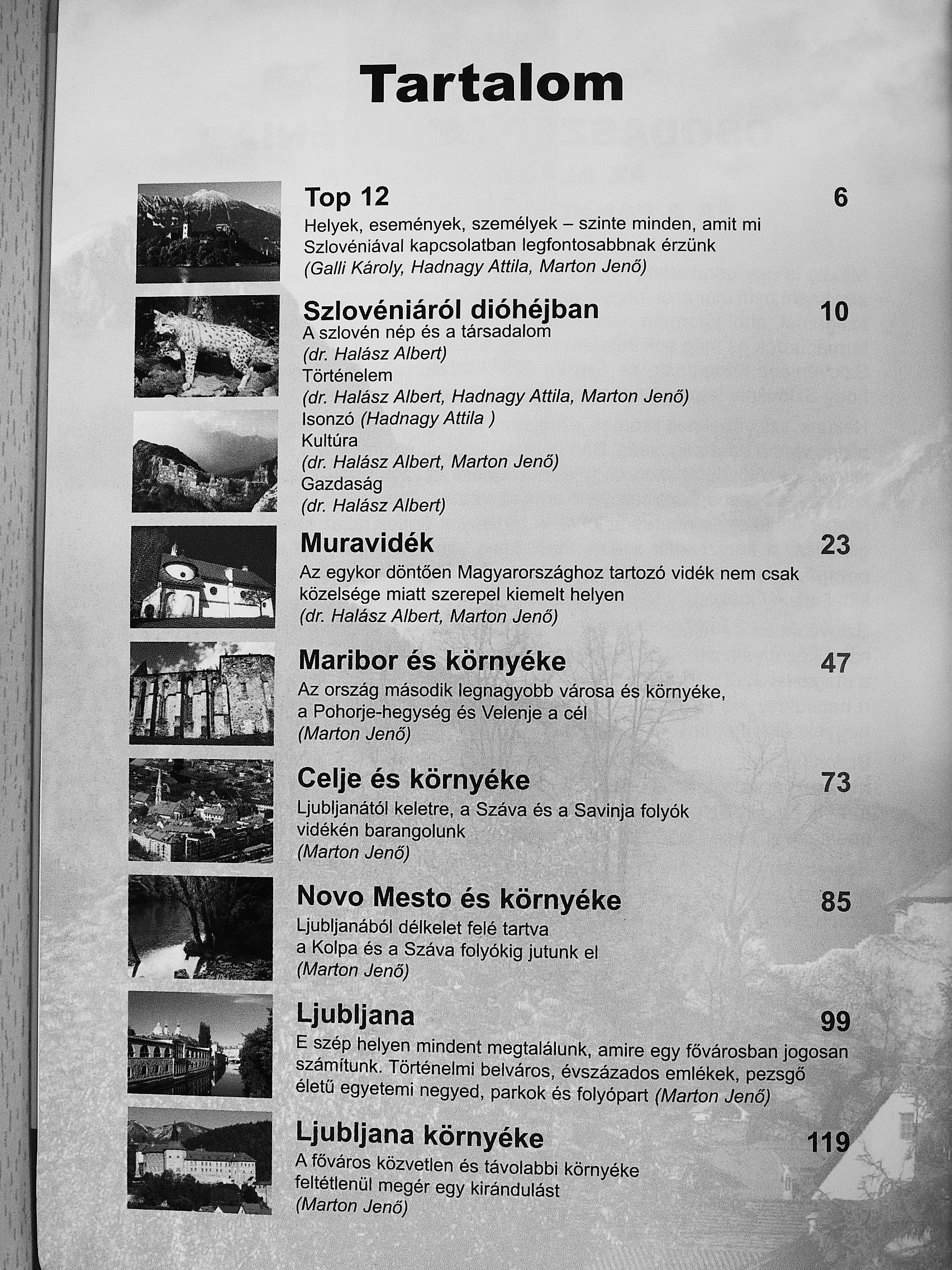 Dr. Halász Albert - Csodaszép Szlovénia [antikvár]