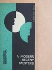 Alain Robbe-Grillet - A modern regény mesterei [antikvár]