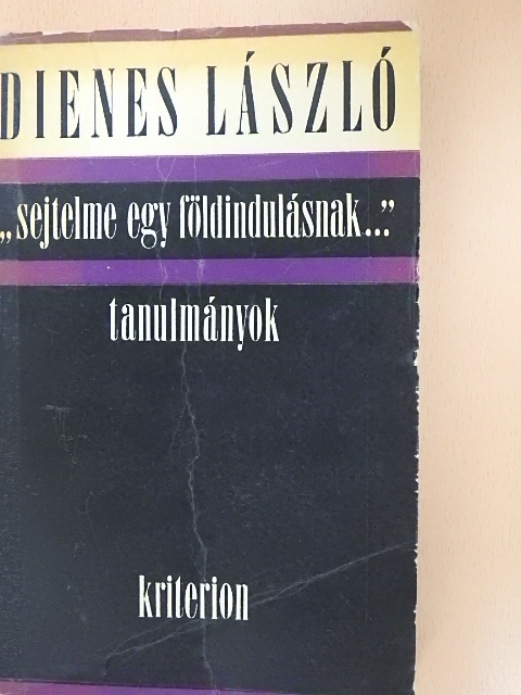 Dienes László - "Sejtelme egy földindulásnak..." [antikvár]