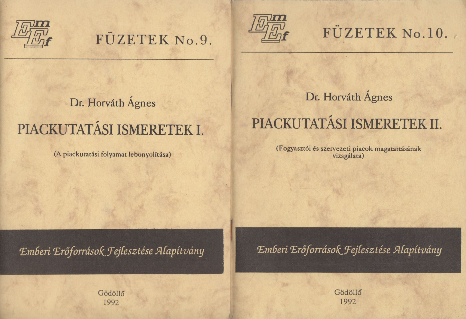 Dr. Horváth Ágnes - Piackutatási ismeretek I-II. [antikvár]