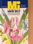D. Aichele - Mi virít itt? [antikvár]