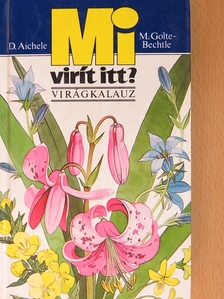D. Aichele - Mi virít itt? [antikvár]