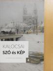 Dávid Attila - Kalocsai szó és kép 4. [antikvár]