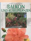 Halina Heitz - Balkon und Kübelpflanzen [antikvár]