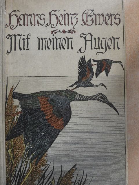 Hanns Heinz Ewers - Mit meinen Augen [antikvár]
