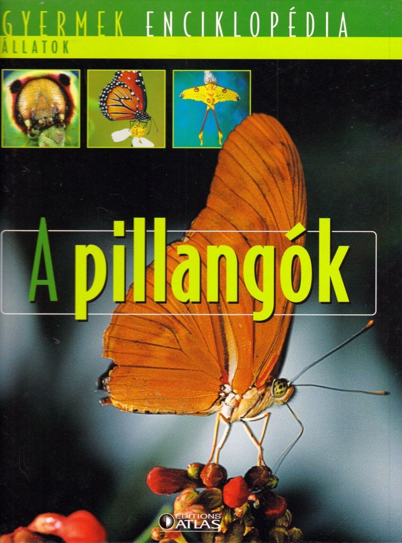 A pillangók [antikvár]